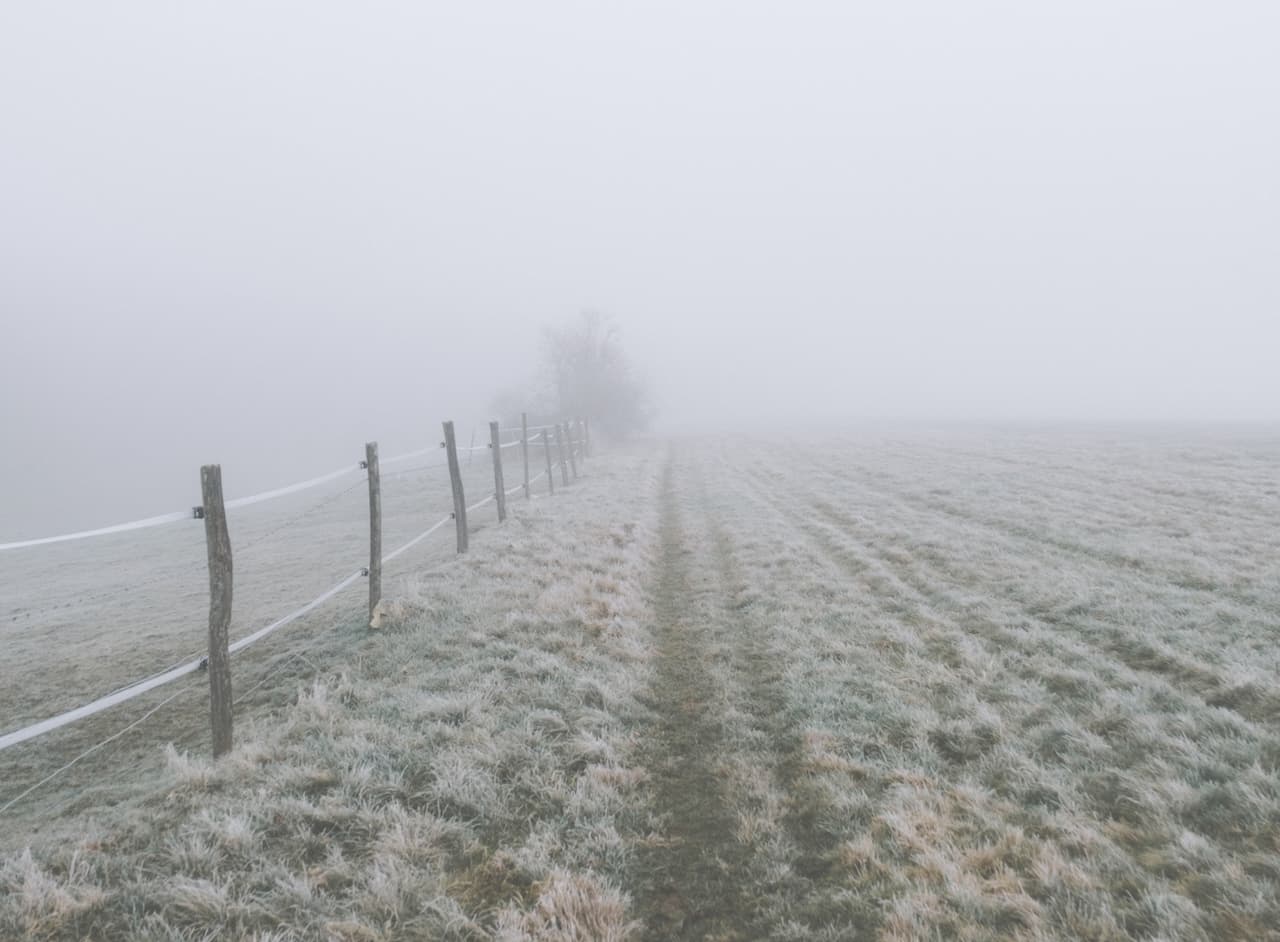 Winterlicher Feldweg