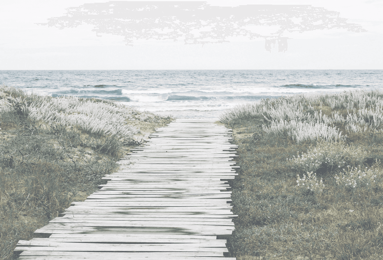 Weg zum Meer über Holzplanken